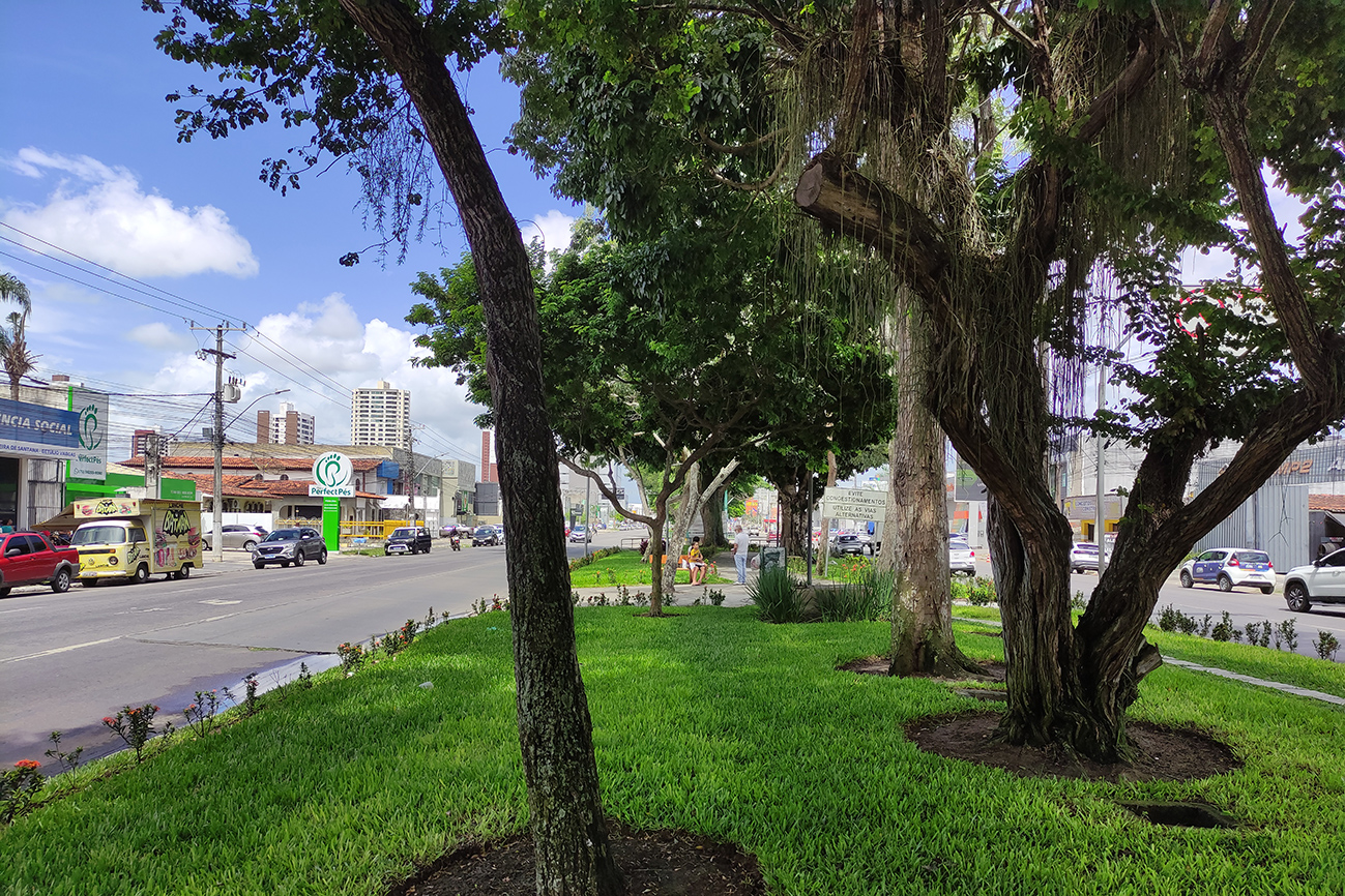 Foto: Reprodução/Prefeitura de Feira de Santana - BA